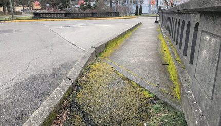 State and Ellis bridge roadway