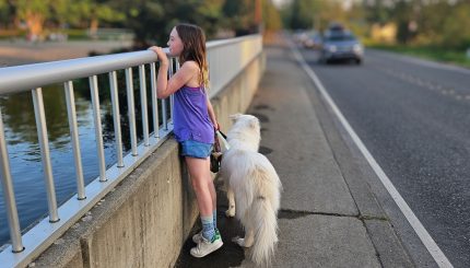 Girl with white dog looking over bridge railing as car approaches