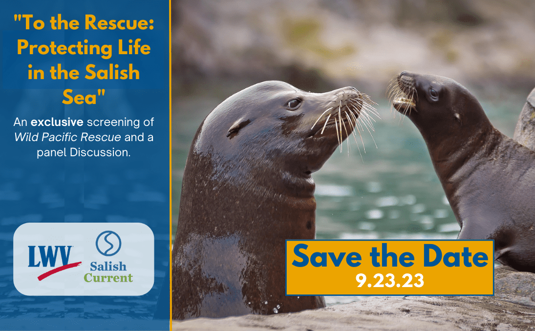 Photo of adult and young seal with text that says: "To the Rescue: Protecting Life in the Salish Sea. An exclusive screening of Wild Pacific Rescue and a panel discussion. Save the date. 9-23-23."