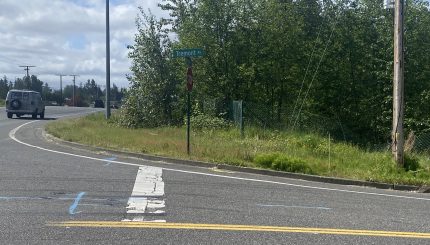 Corner with trees, grass, at intersection of Meridian and Tremont