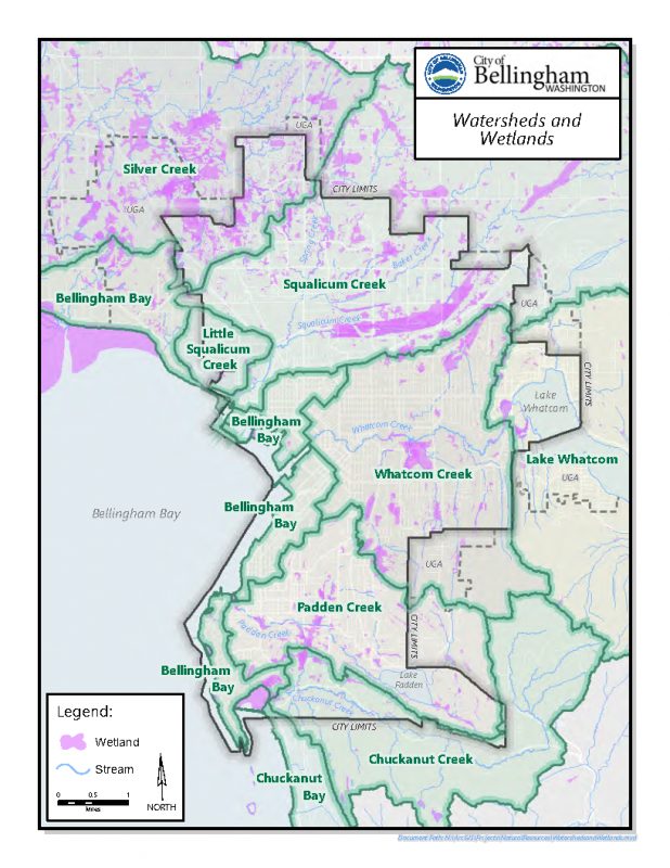 Map showing watersheds in Bellingham, including Silver Creek, Squalicum Creek, Little Squalicum Creek, Bellingham Bay, Whatcom Creek, Lake Whatcom, Padden Creek, and Chuckanut Creek.