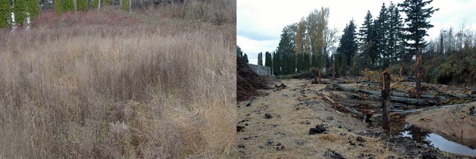 Baker Creek before and after construction