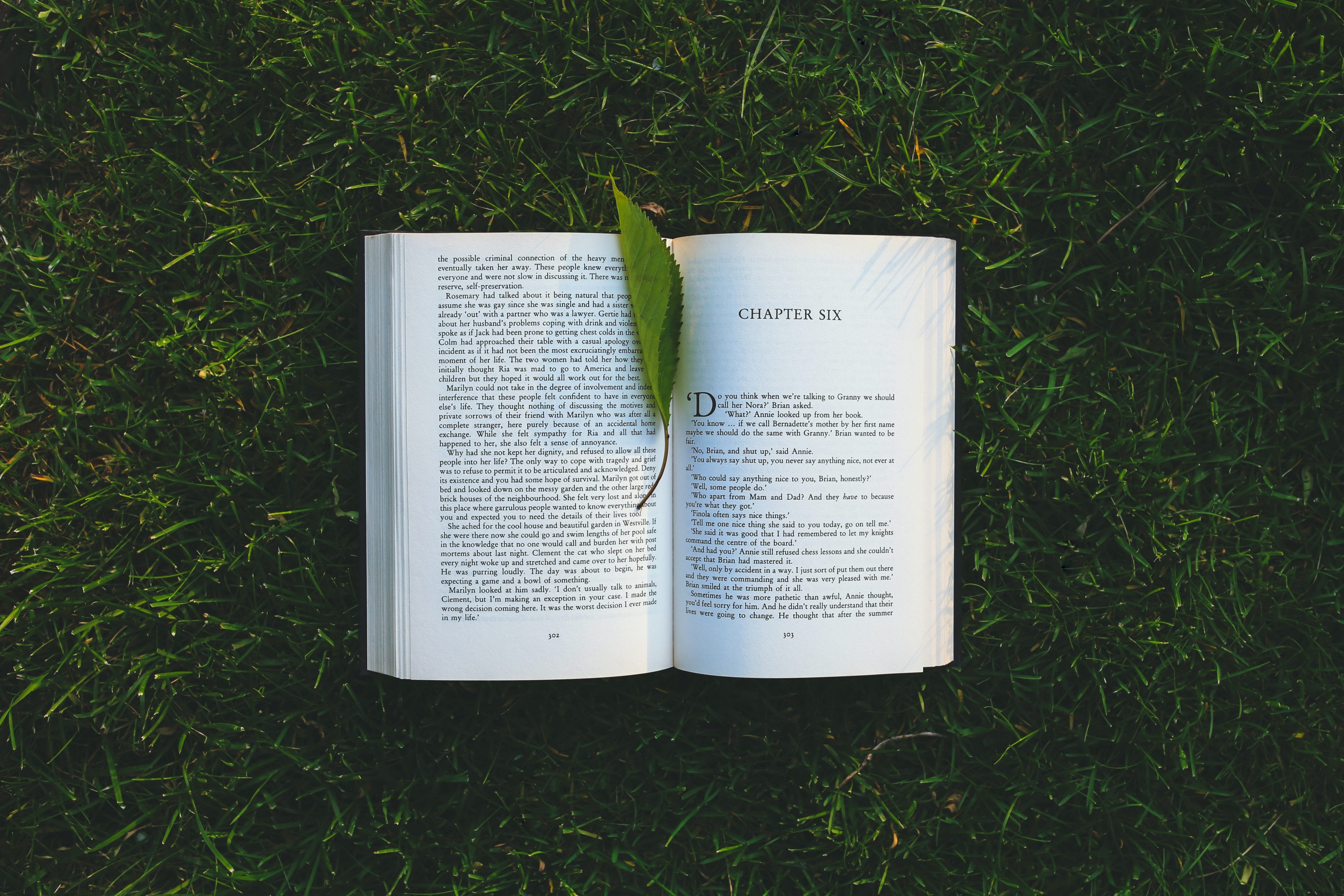 An open book laying in grass