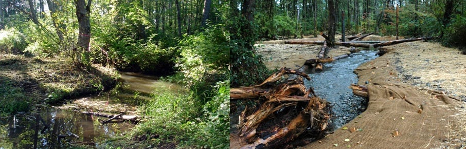 Cemetery Creek before and after restoration