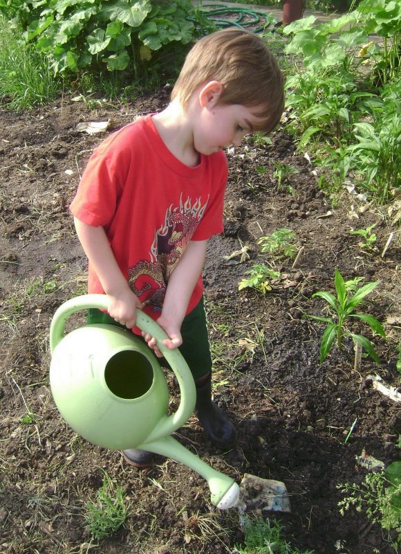 Child watering a garden