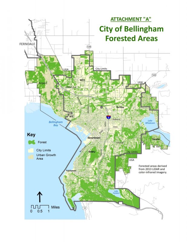 Map of forested areas within City of Bellingham limits
