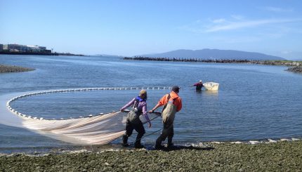 Two people in chest waders doing monitoring work along shores of Bellingham Bay