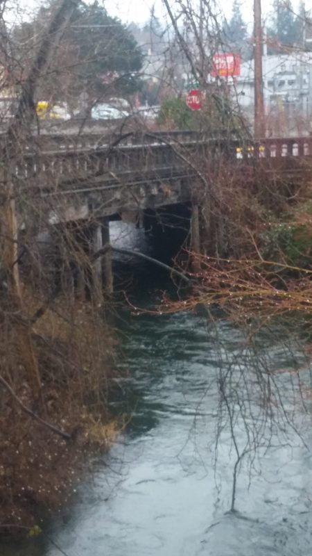 View of Whatcom Creek going under State-Ellis bridge on rainy day